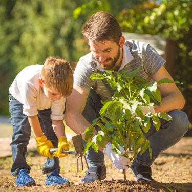 Nu skal vi plante! Men hvordan?